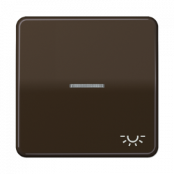 JUNG CD590KO5LBR