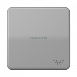JUNG CD590KO5LGR