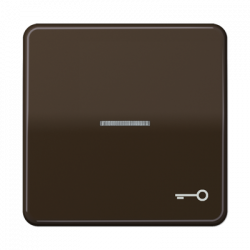 JUNG CD590KO5TBR
