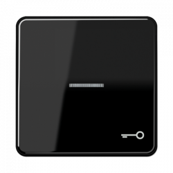 JUNG CD590KO5TSW