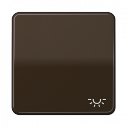 JUNG CD590LBR