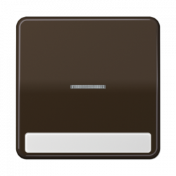 JUNG CD590NAKO5BR