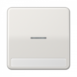 JUNG CD590NAKO5LG