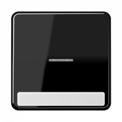 JUNG CD590NAKO5SW