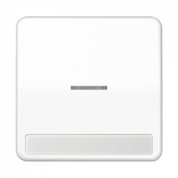 JUNG CD590NAKO5WW