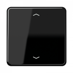 JUNG CD590PSW