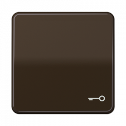JUNG CD590TBR