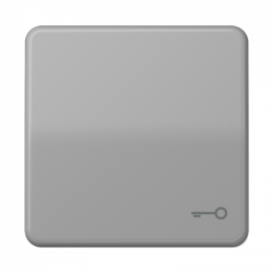 JUNG CD590TGR