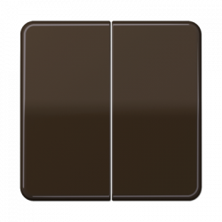 JUNG CD595BR
