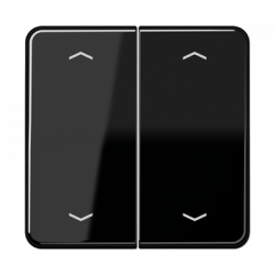 JUNG CD595MPSW