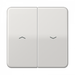 JUNG CD595PBFLG