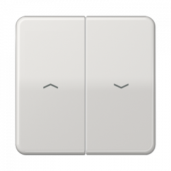 JUNG CD595PLG
