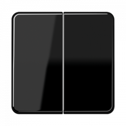 JUNG CD595SW