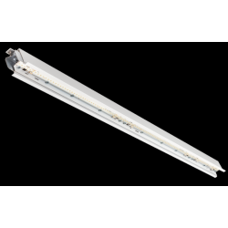 SG LIGHTING 8246095680