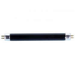 LAMP04TBL