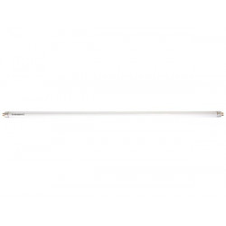 LAMP14