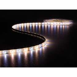 LEDS12CWW