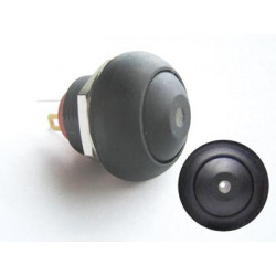 R1396W