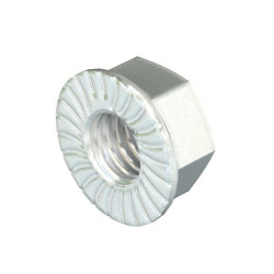 OBO 6408930