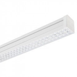 PIL P305684