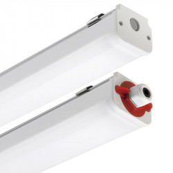 PIL P305948