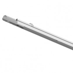 PIL P310557