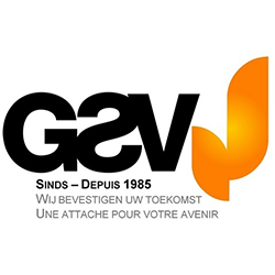 GSV C311W