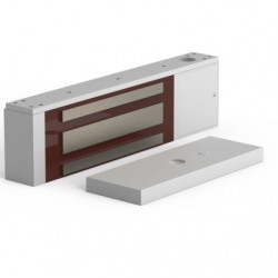 Openers & Closers OCM019