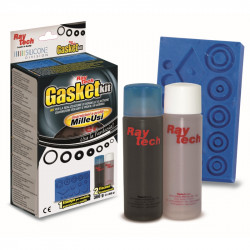 Raytech GASKETKIT