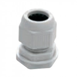 Raytech RAYPRESS25