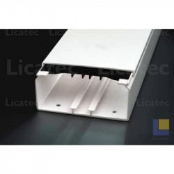 Licatec 9504