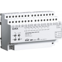GIRA 216100