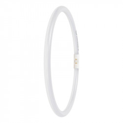 LEDVANCE T5EXTFC4055830