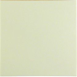 Berker by Hager 16208982