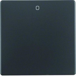 Berker by Hager 16226086