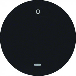 Berker by Hager 16242045