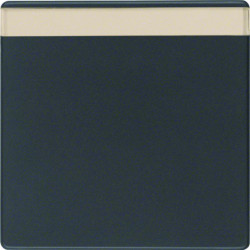 Berker by Hager 16266086