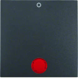 Berker by Hager 16291636