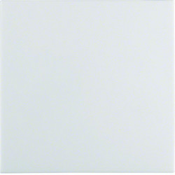 Berker by Hager 16298989