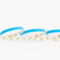 EUROLAMP 145-70322