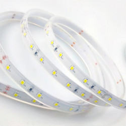 EUROLAMP 145-70418