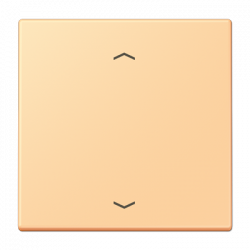 JUNG LC101P258