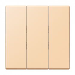 JUNG LC993BF223