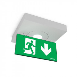 LINERGY L99193-B-IP65