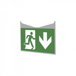 LINERGY L99194-G-PICTO