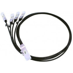 EET MO-CAB-Q-4S-100G-2M