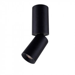 ID TO LIGHT IDTL590211NSE