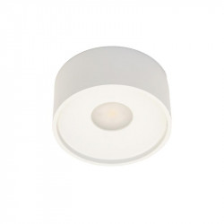 ID TO LIGHT IDTL780055BSE