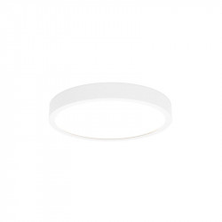 ID TO LIGHT IDTL890312BSK