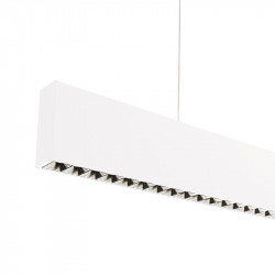 ID TO LIGHT IDTL911002BSE